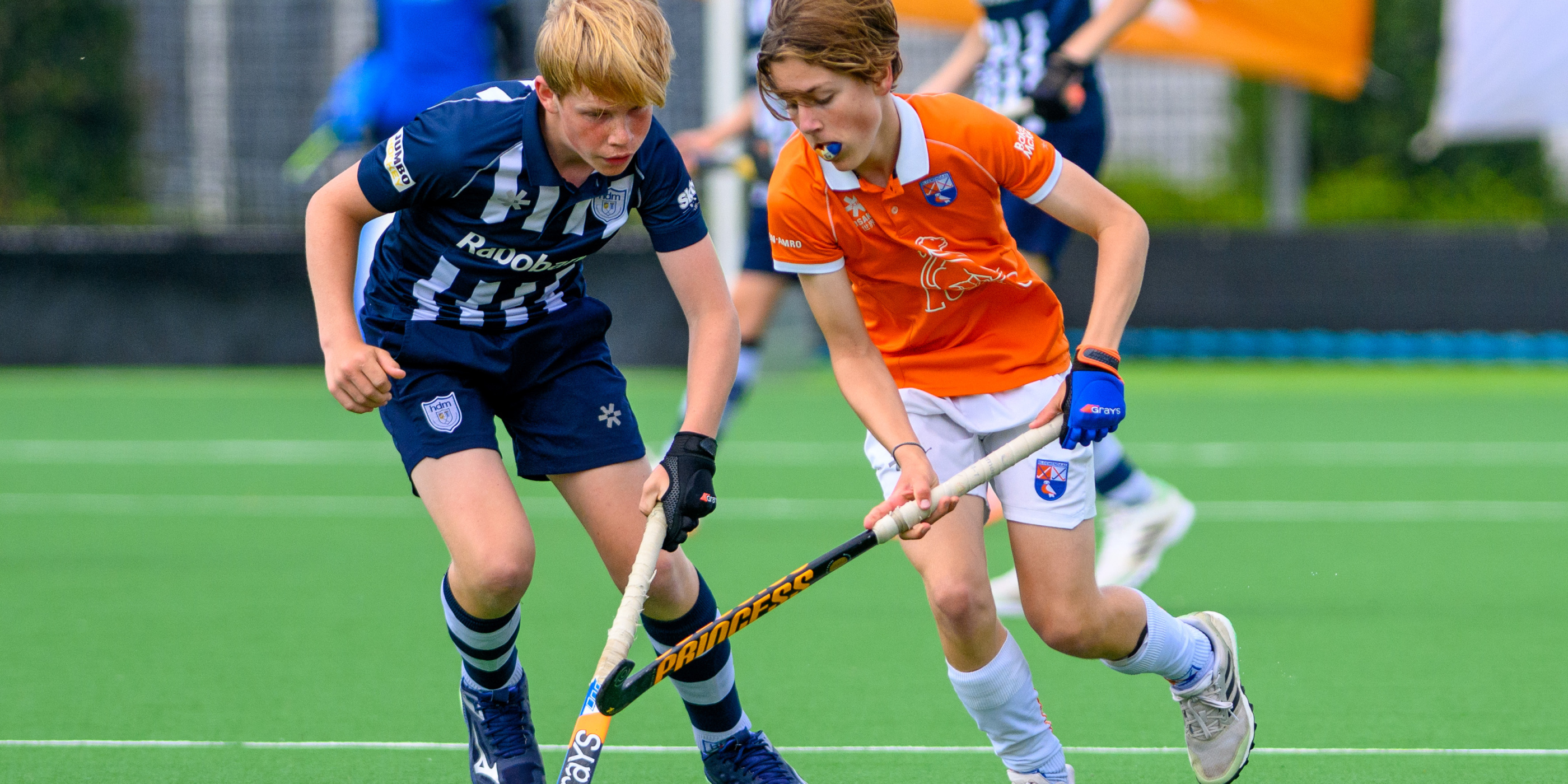 Poule-indelingen Jeugd O16 en O14 reguliere competitie seizoen 2024-2025